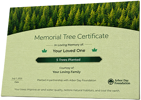 Plant Trees in Memory of Kaylia Brown